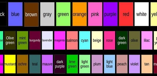 clasificacion de los colores